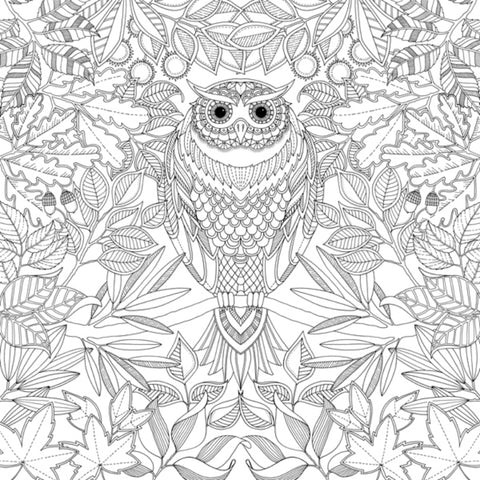 Secret Garden Adult Colouring Book By Bashford, Johanna 1pcs