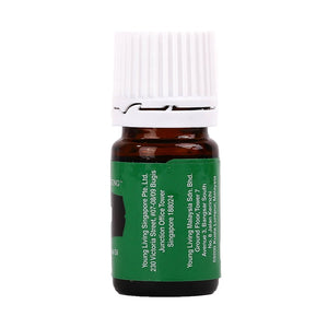 Young Living Hinoki Essential Oil 5ml