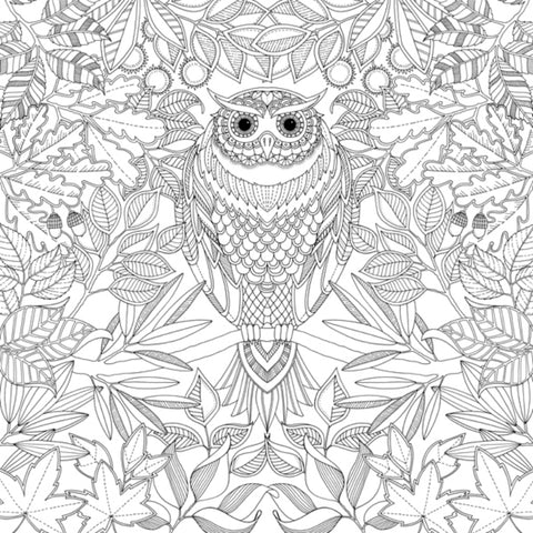 Secret Garden Adult Colouring Book By Bashford, Johanna 1pcs